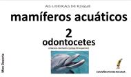 Mamíferos acuáticos (2), Odontocetos